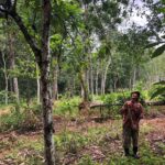 CriolloQuetzal-Paradai-Farmer-BahnSuanChin2