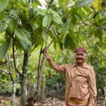 CriolloQuetzal-Paradai-Farmer-YaiJudThongyod1
